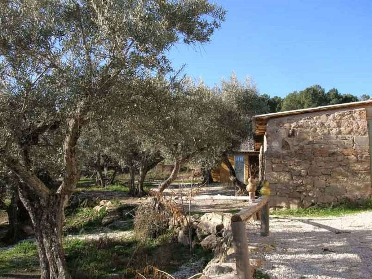 Campamento Escurialejo